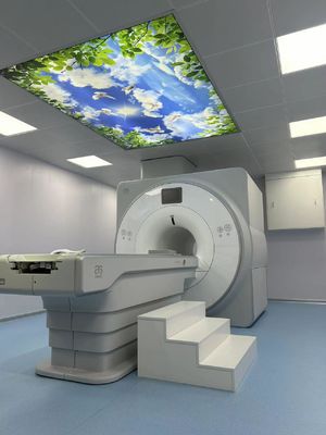 calidad Sistemas de imágenes de resonancia 1.5T caja de jaula de Faraday 100MHZ para magnéticos superconductores fábrica