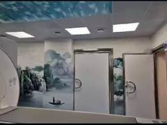 La resonancia magnética de la jaula de Faraday de plata para laboratorios La solución de protección definitiva